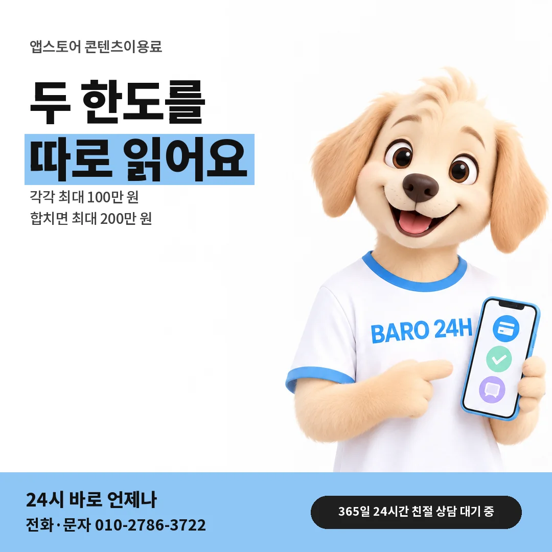BARO 24H 티셔츠를 입은 3D 동물 캐릭터 옆에 「앱스토어 두 한도 각각 보기」 제목을 얹은 안내 카드
